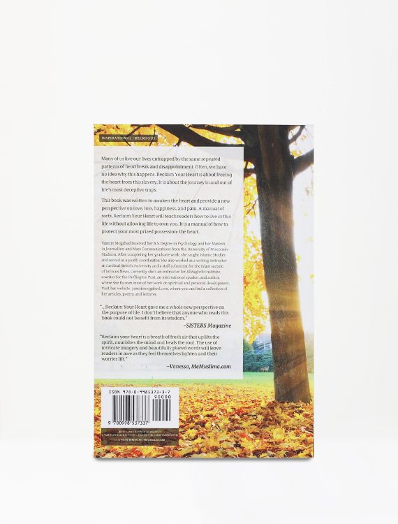 Reclaim Your Heart - Image 3